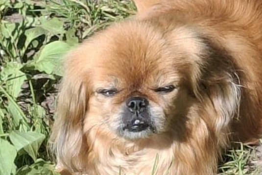 me rn