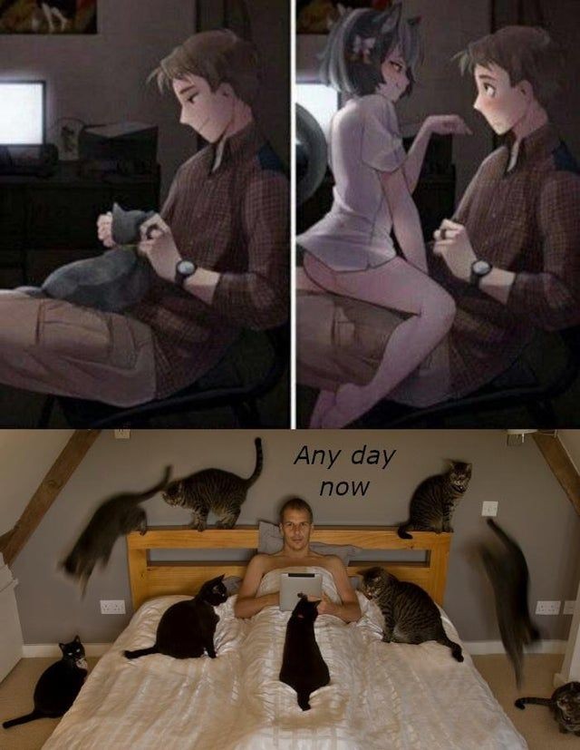 a151633275431531736a3b881599ff6c